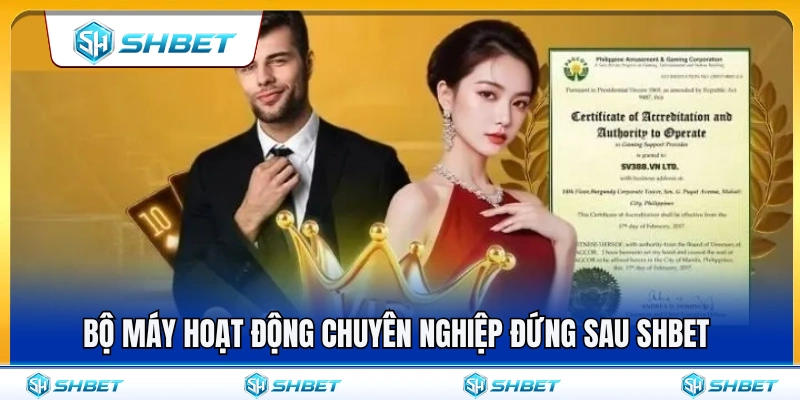 Cơ cấu quản lý bài bản phía sau thương hiệu SHBET 