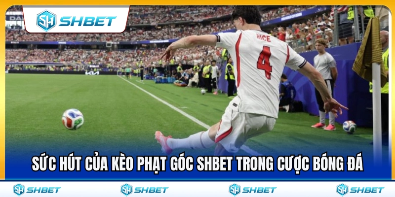 Lý do kèo phạt góc SHBET luôn thu hút người chơi bóng đá 