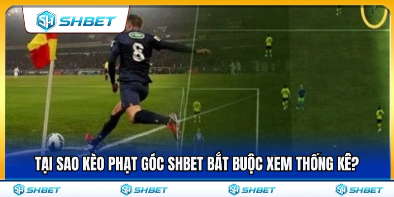 Tại sao thống kê là yếu tố bắt buộc khi bắt kèo phạt góc SHBET? 