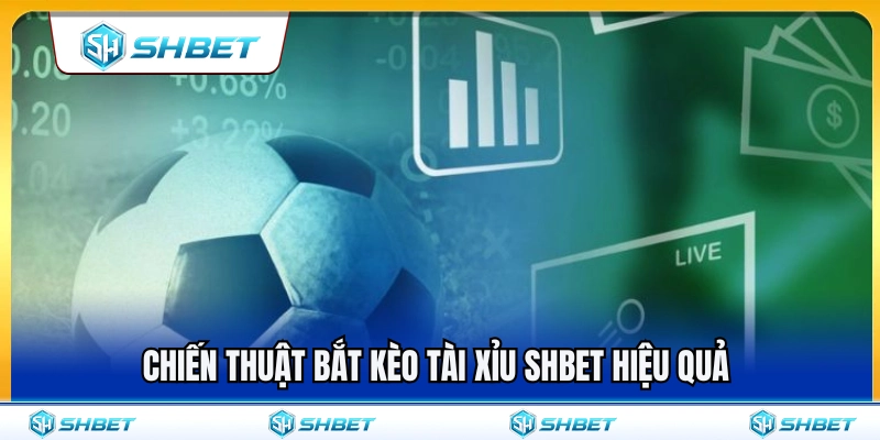 Kèo Tài Xỉu SHBET – Cách Nhìn Mốc Bàn Thắng Trước Khi Chọn 4 Bí quyết bắt kèo tài xỉu SHBET tối ưu hiệu quả