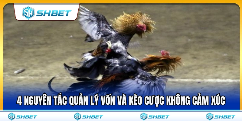 4 Nguyên tắc giúp quản lý vốn và chốt kèo không cảm xúc 
