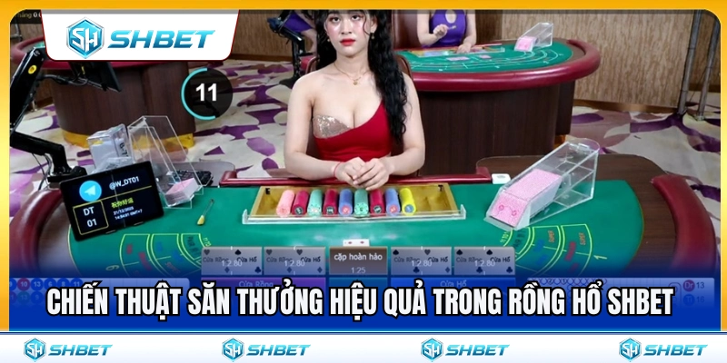 Mẹo săn thưởng cực hiệu quả trong rồng hổ SHBET 