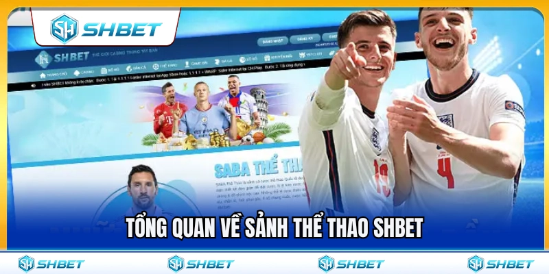 Thể Thao SHBET 1 Giới thiệu tổng quan về thể thao SHBET