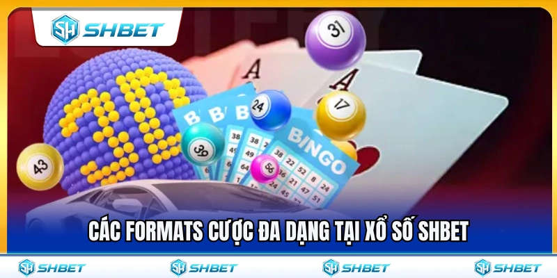 Xổ Số SHBET 2 Những hình thức cược phong phú ở xổ số SHBET
